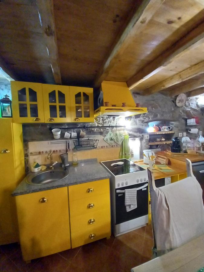 Talasnal Casas Da Urze Ter Lousã Dış mekan fotoğraf